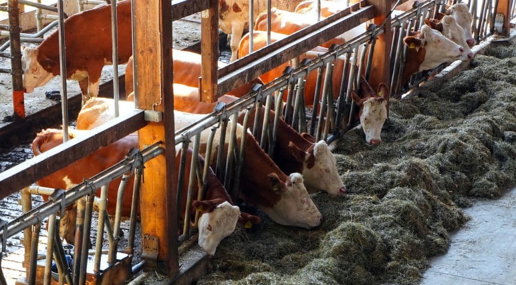 Pośrednictwo sprzedaży nieruchomości rolnych – lubelskie