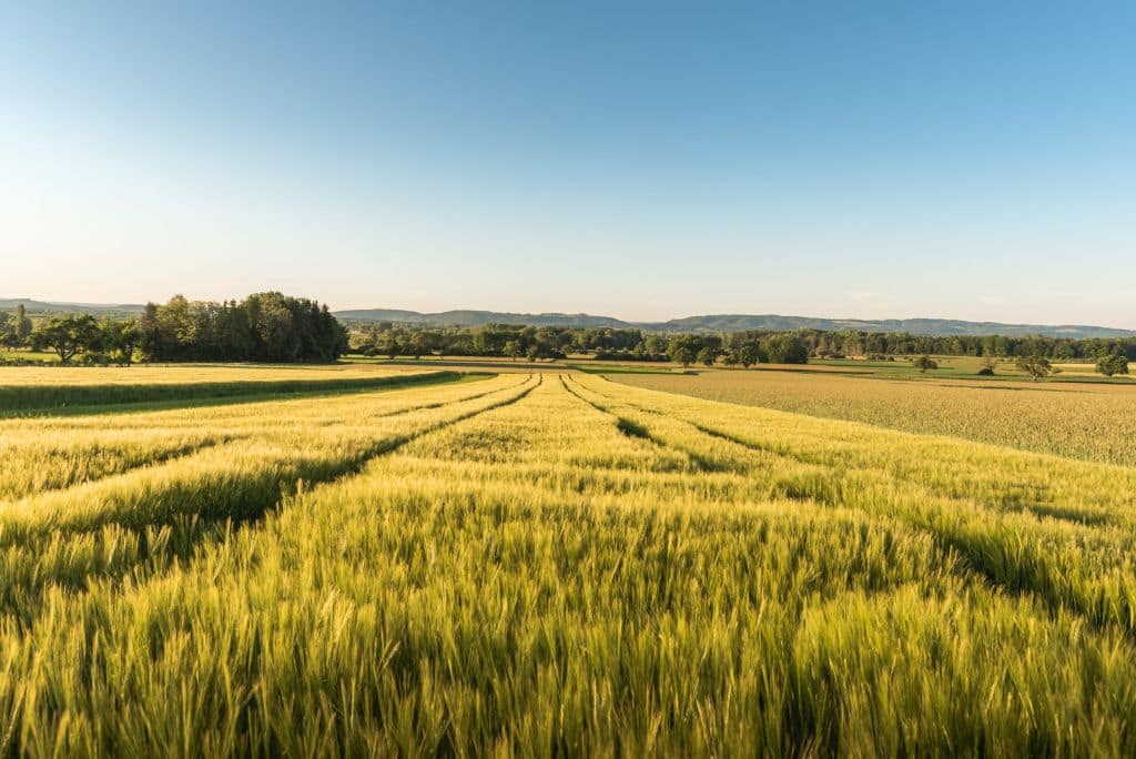 Wpis: Sprzedaż gruntu rolnego – Nowy rozdział życia