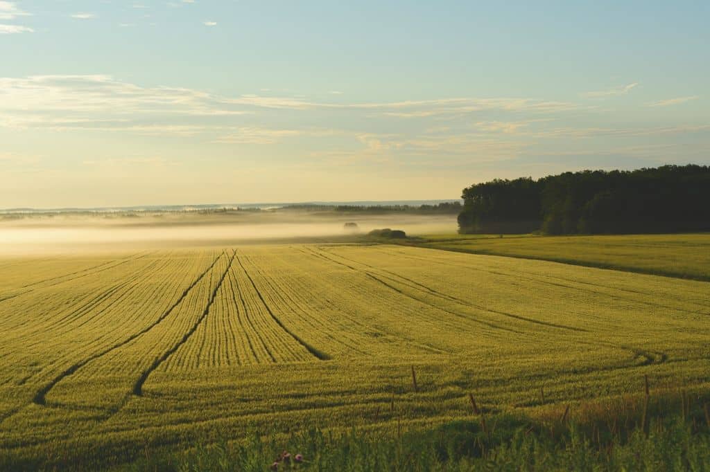Sprzedaż gruntów rolnych