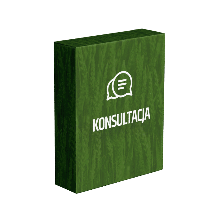 Konsultacja - 299zł (30 min)