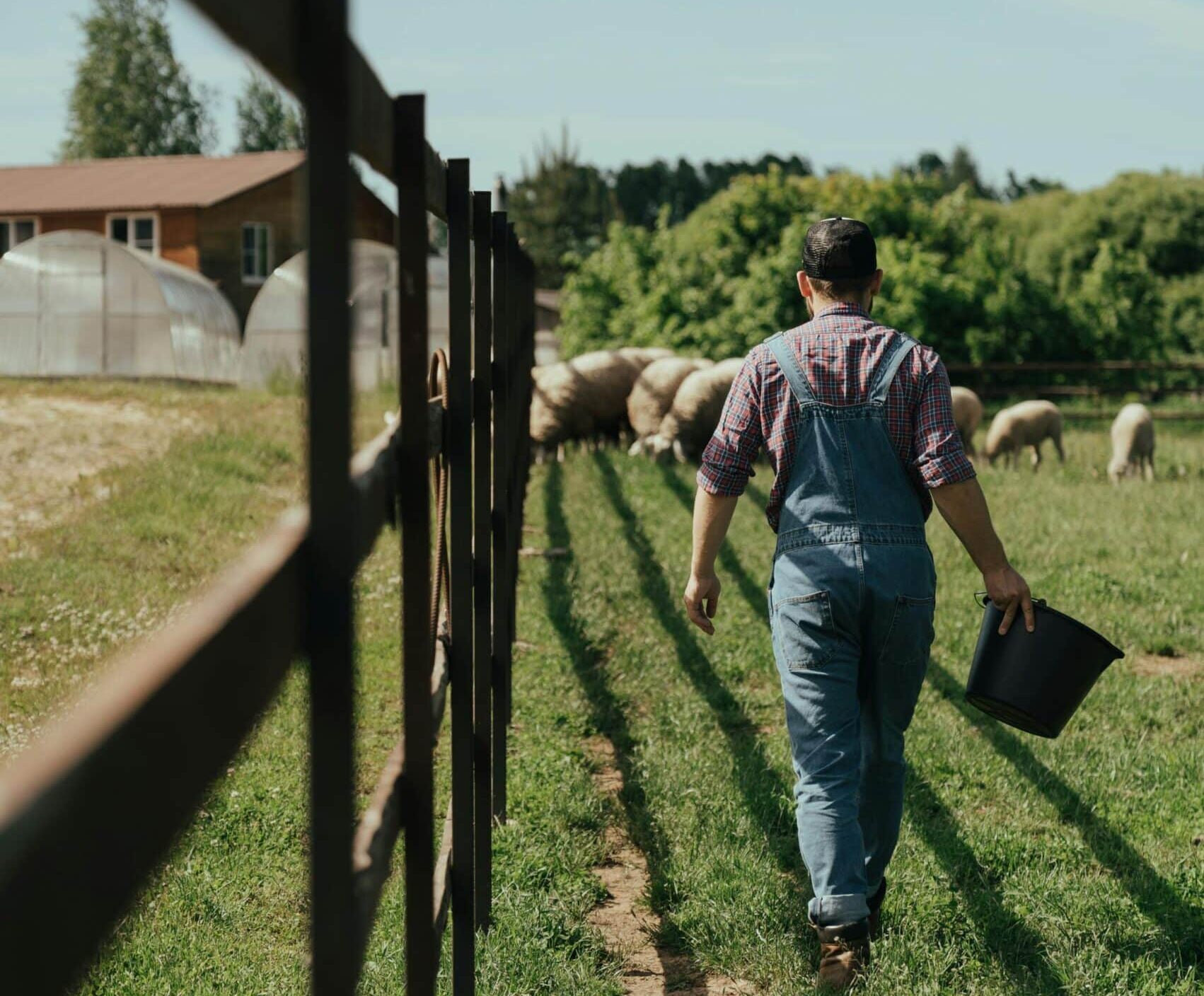 Jak zostać rolnikiem, aby kupić ziemię?