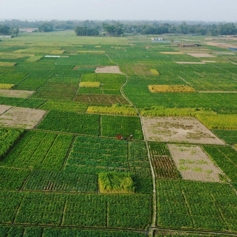 jak sprawdzić plan zagospodarowania przestrzennego