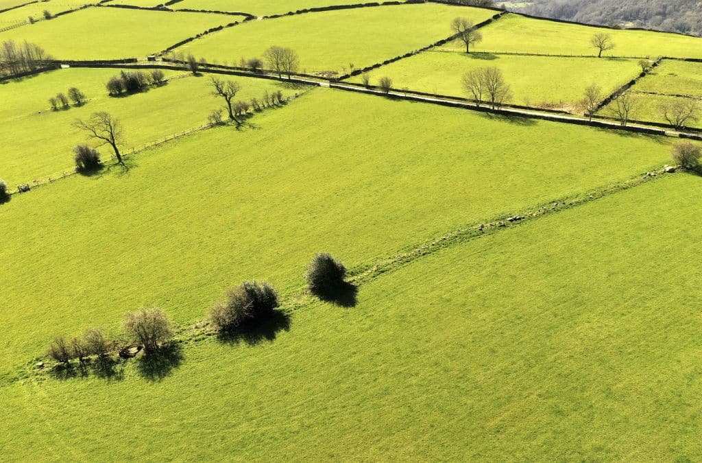 Co można postawić na działce rolnej?